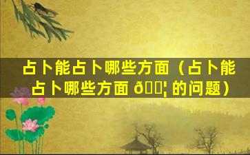 占卜能占卜哪些方面（占卜能占卜哪些方面 🐦 的问题）